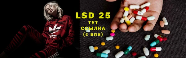 PSILOCYBIN Гусь-Хрустальный