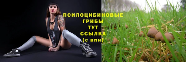 PSILOCYBIN Гусь-Хрустальный