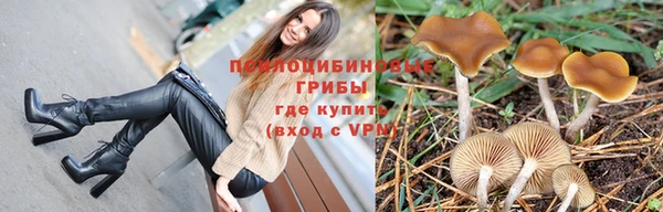 каннабис Гусев